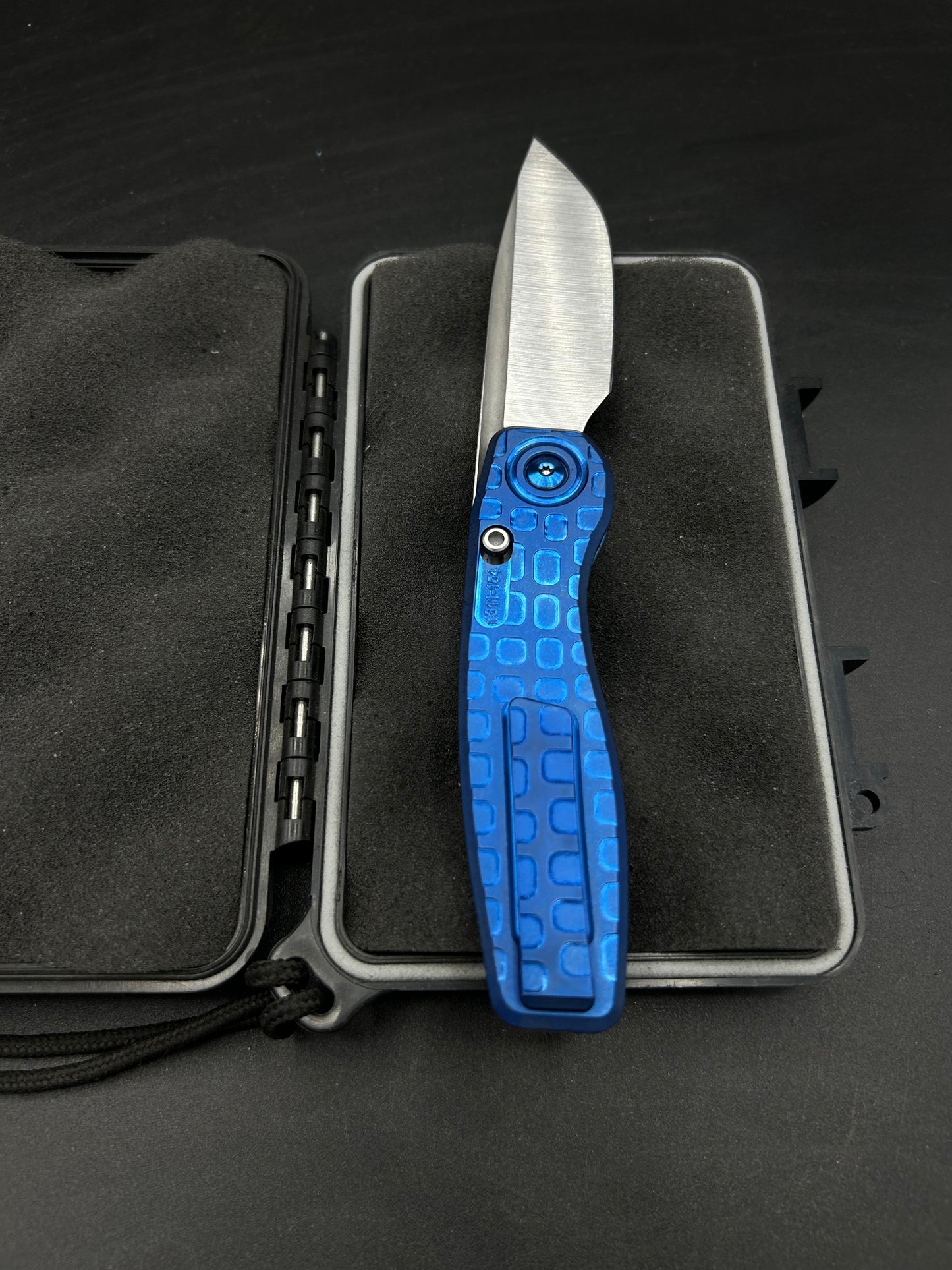 Mini FSD #309