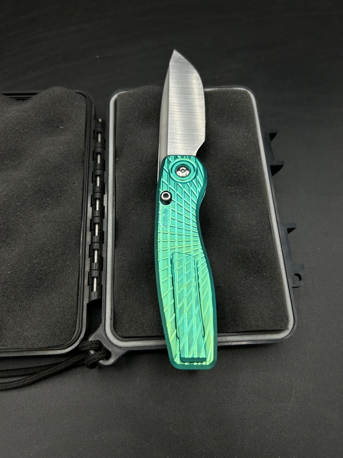 Mini FSD #323