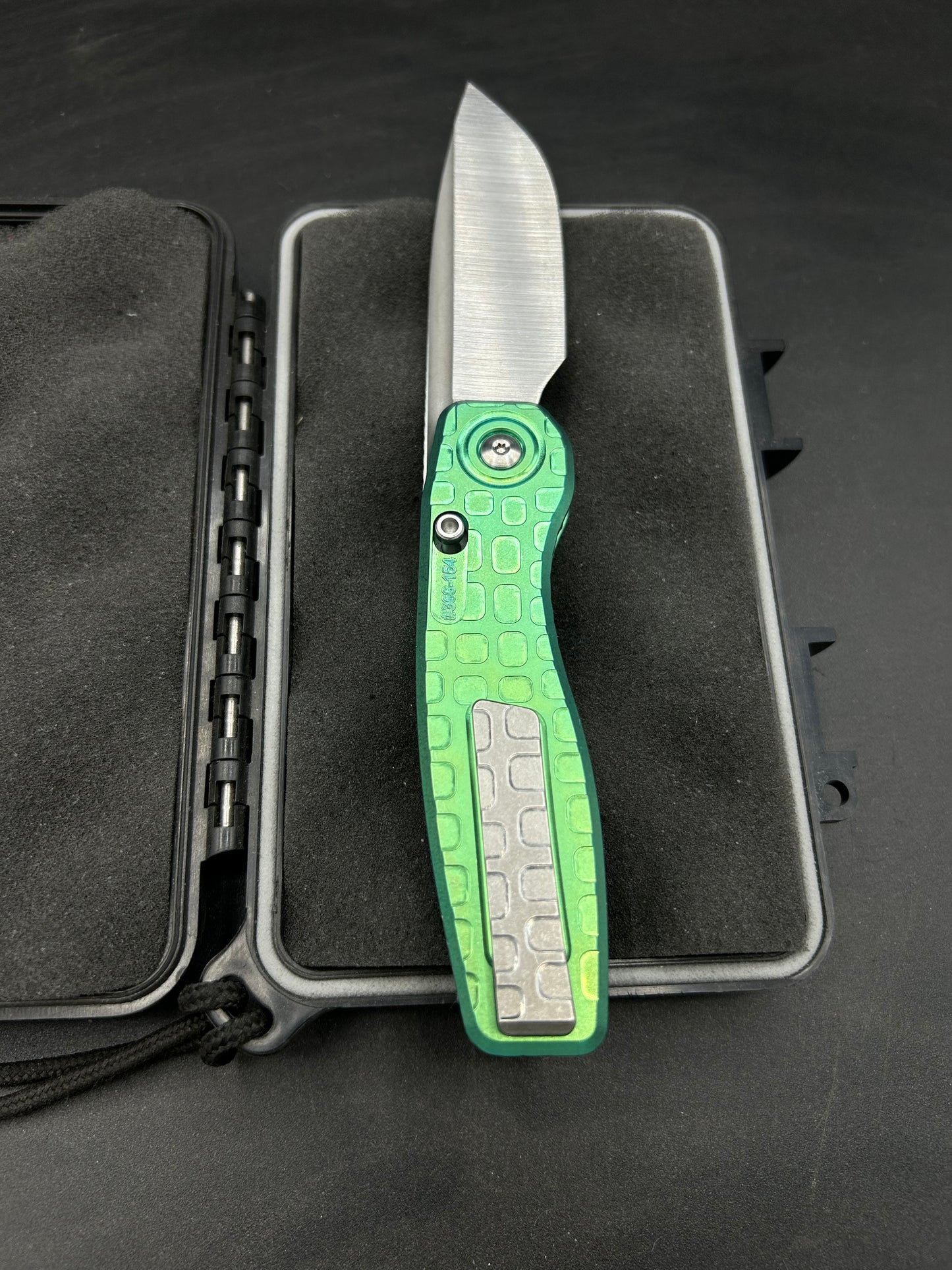 Mini FSD #366