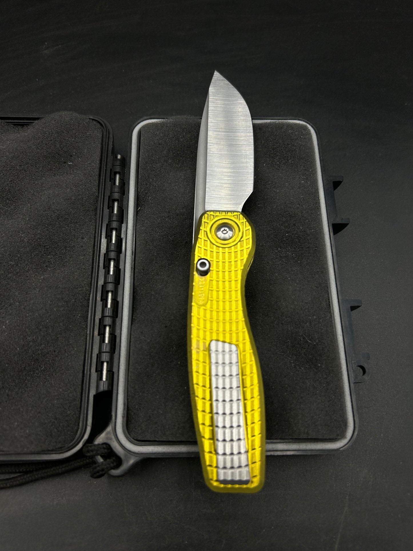 Mini FSD #381