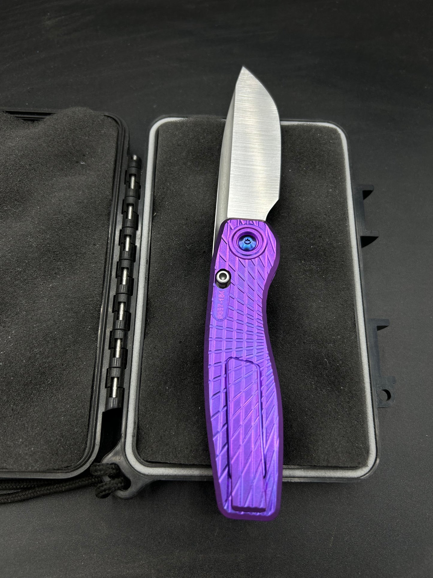 Mini FSD #387