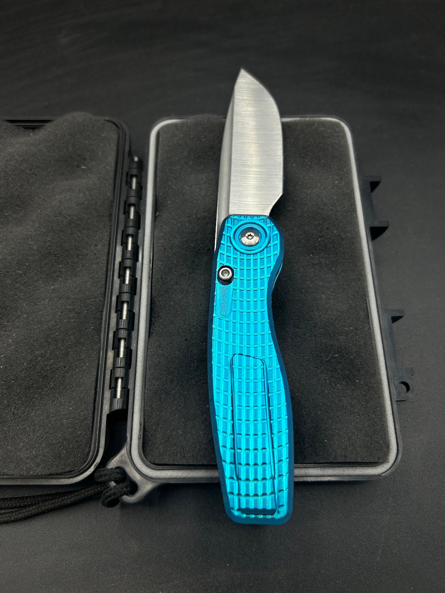 Mini FSD #435