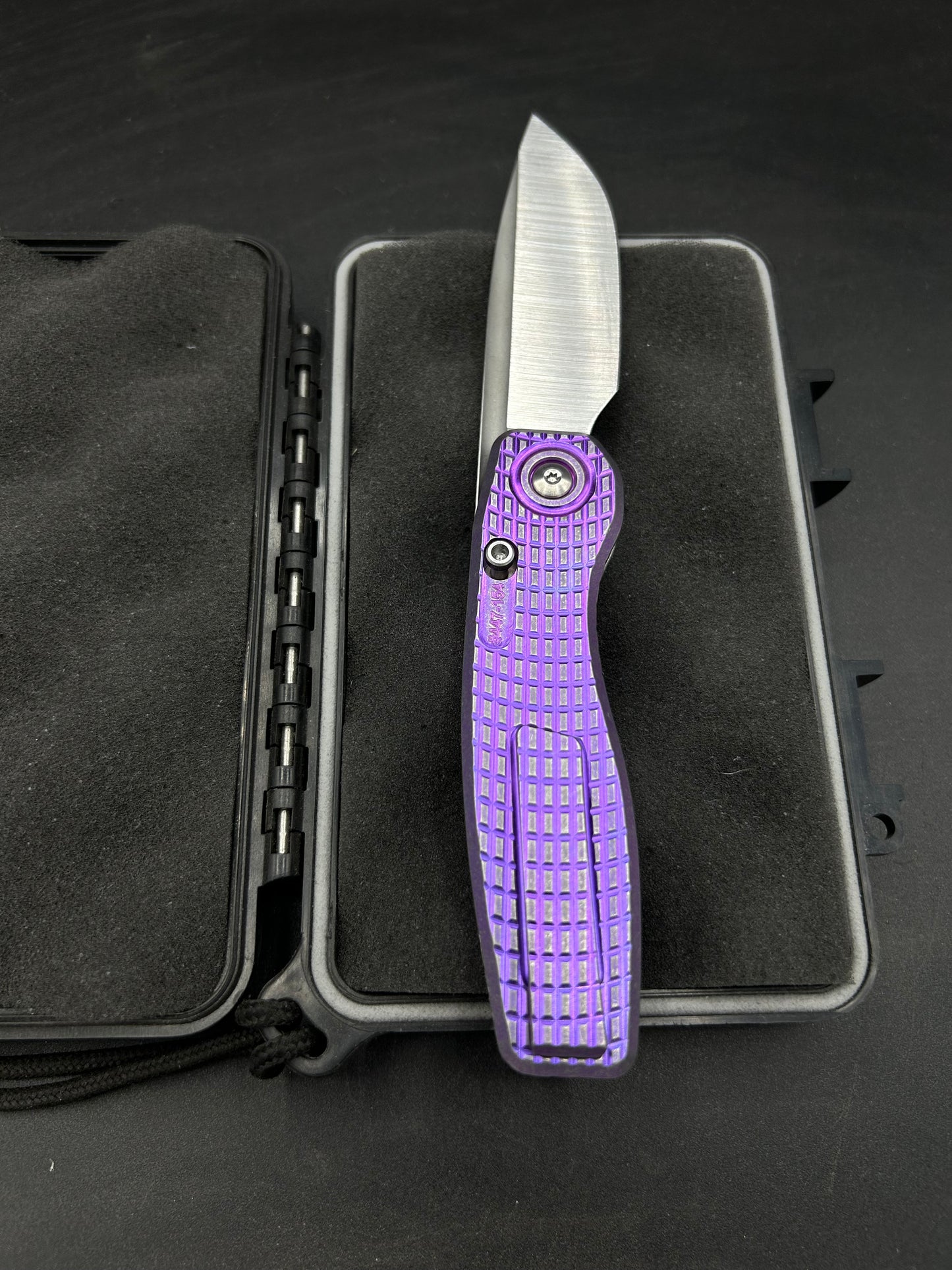 Mini FSD #447