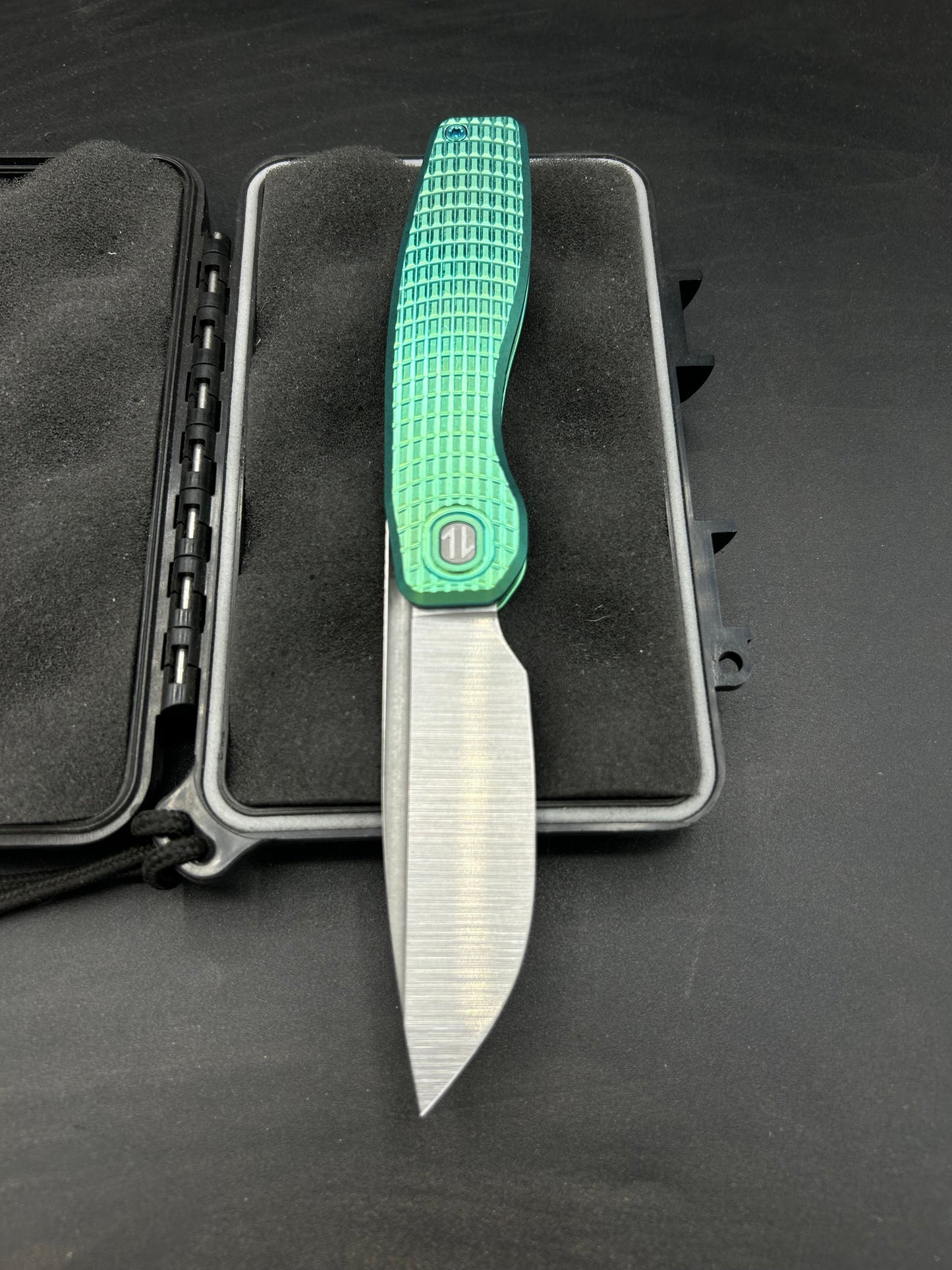 Mini FSD #450