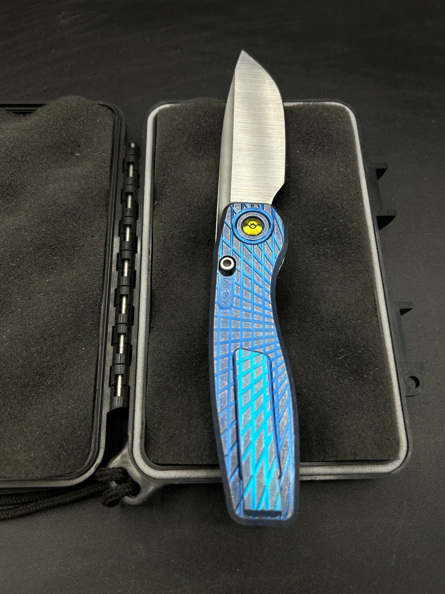 Mini FSD #456