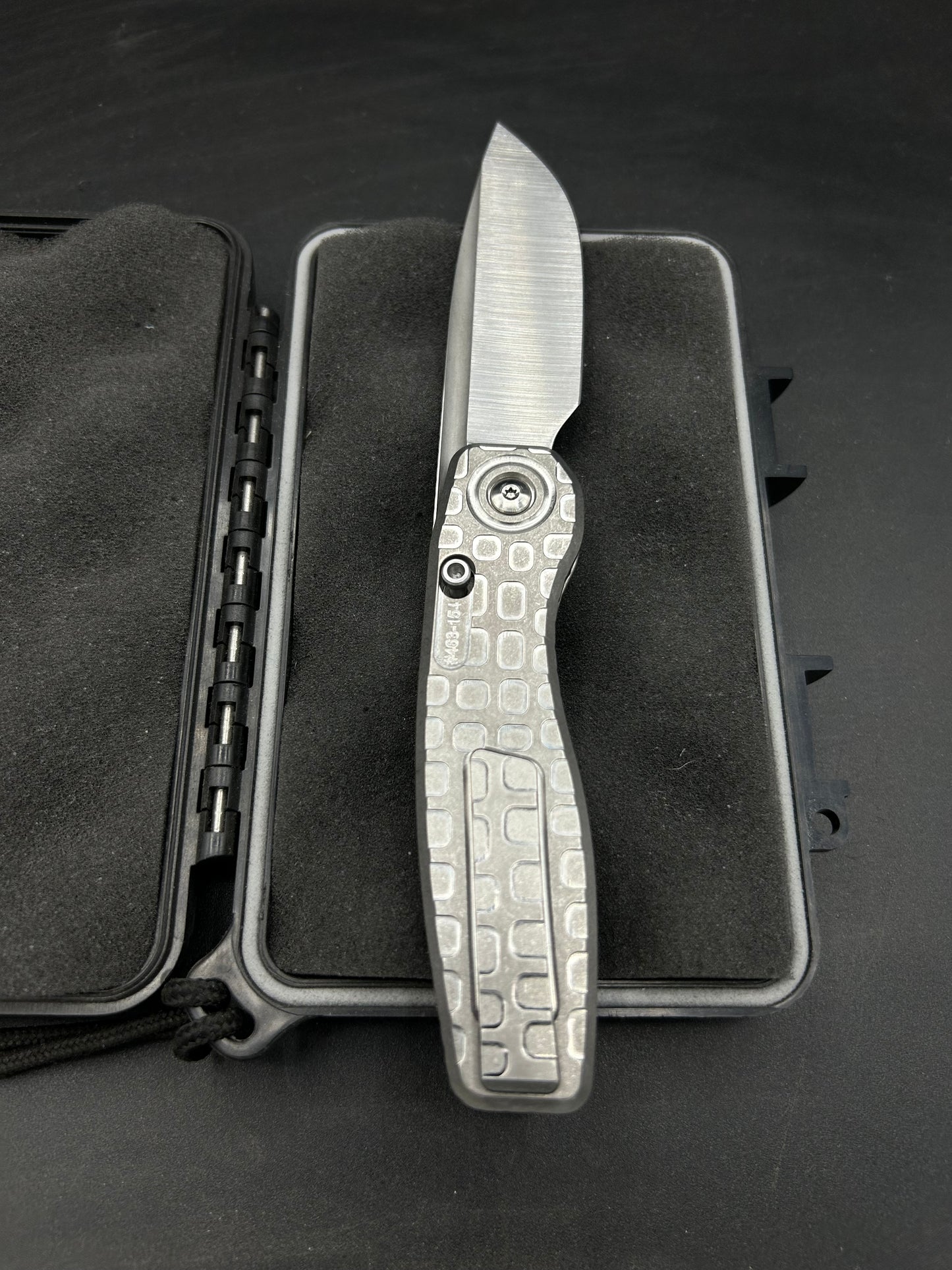 Mini FSD #463