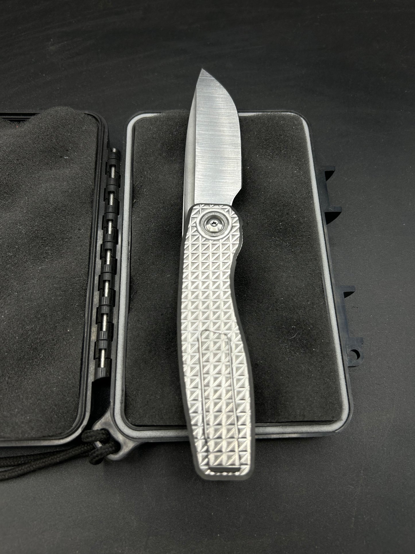 Mini FSD-I #120