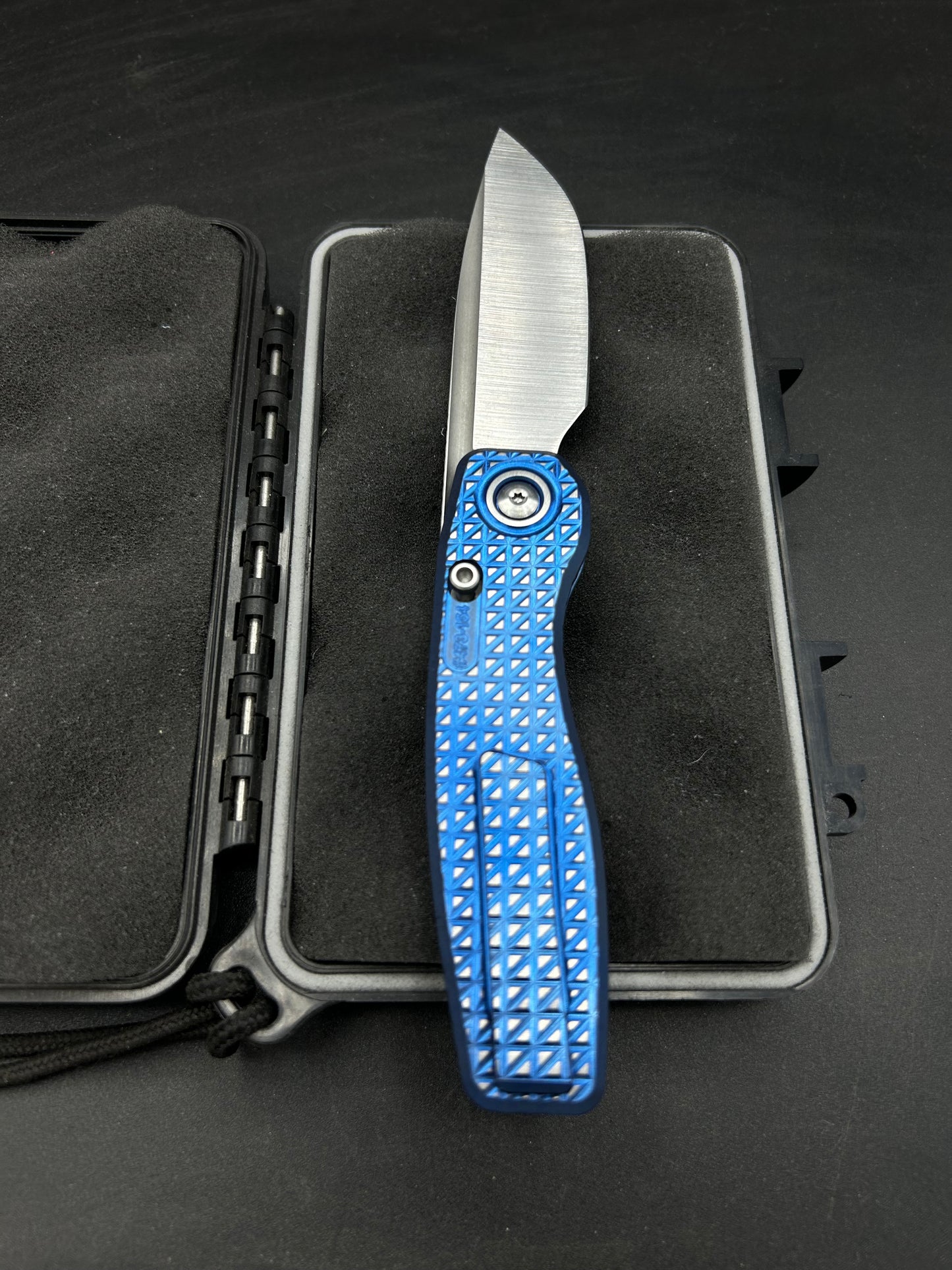 Mini FSD #473