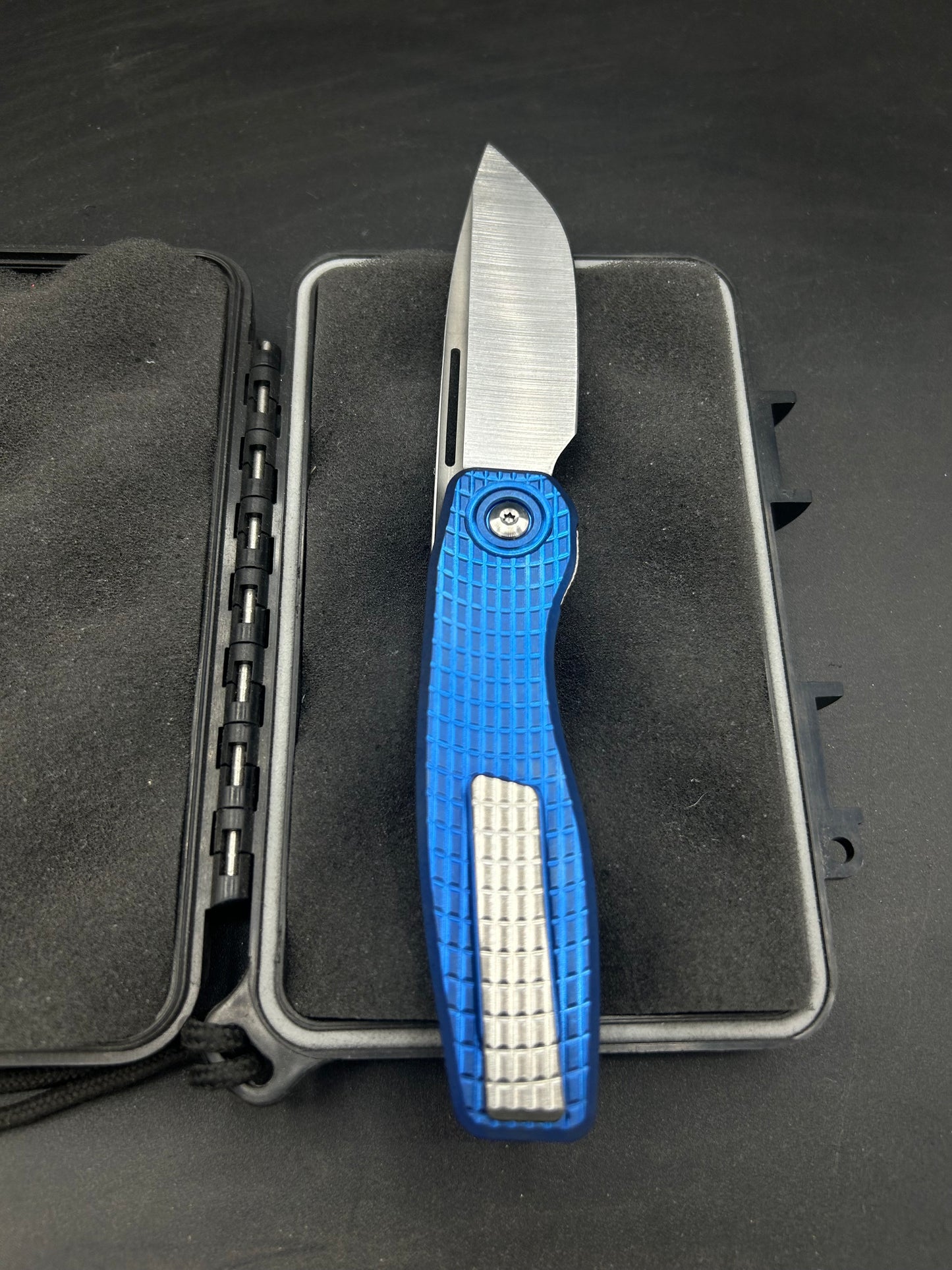 Mini FSD-I #137