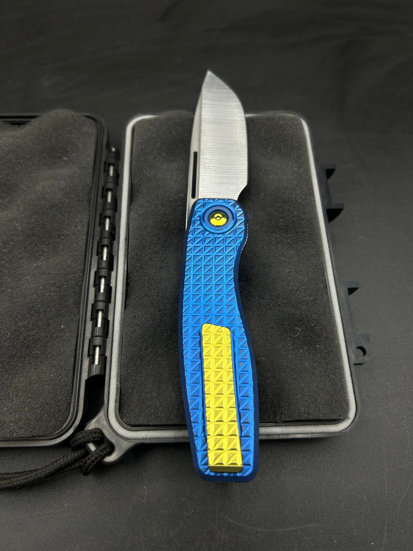 Mini FSD-I #286