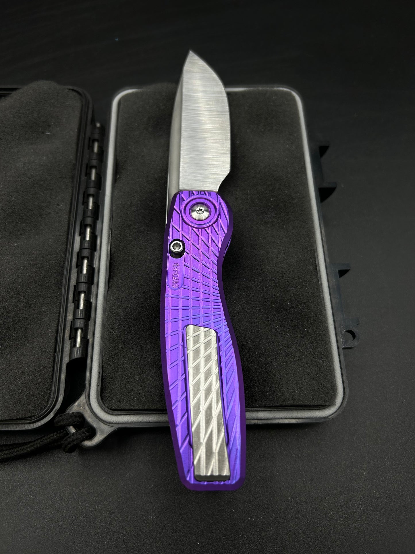 Mini FSD #170