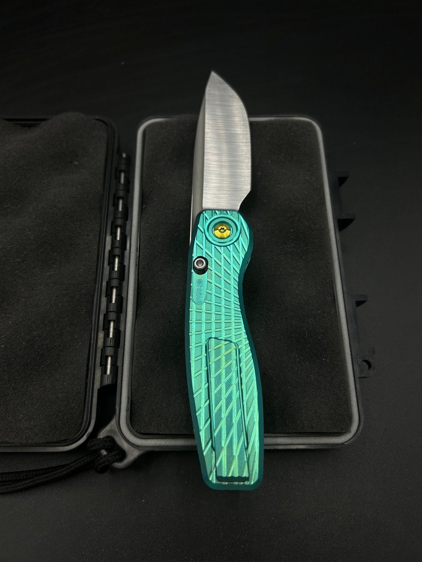 Mini FSD #174