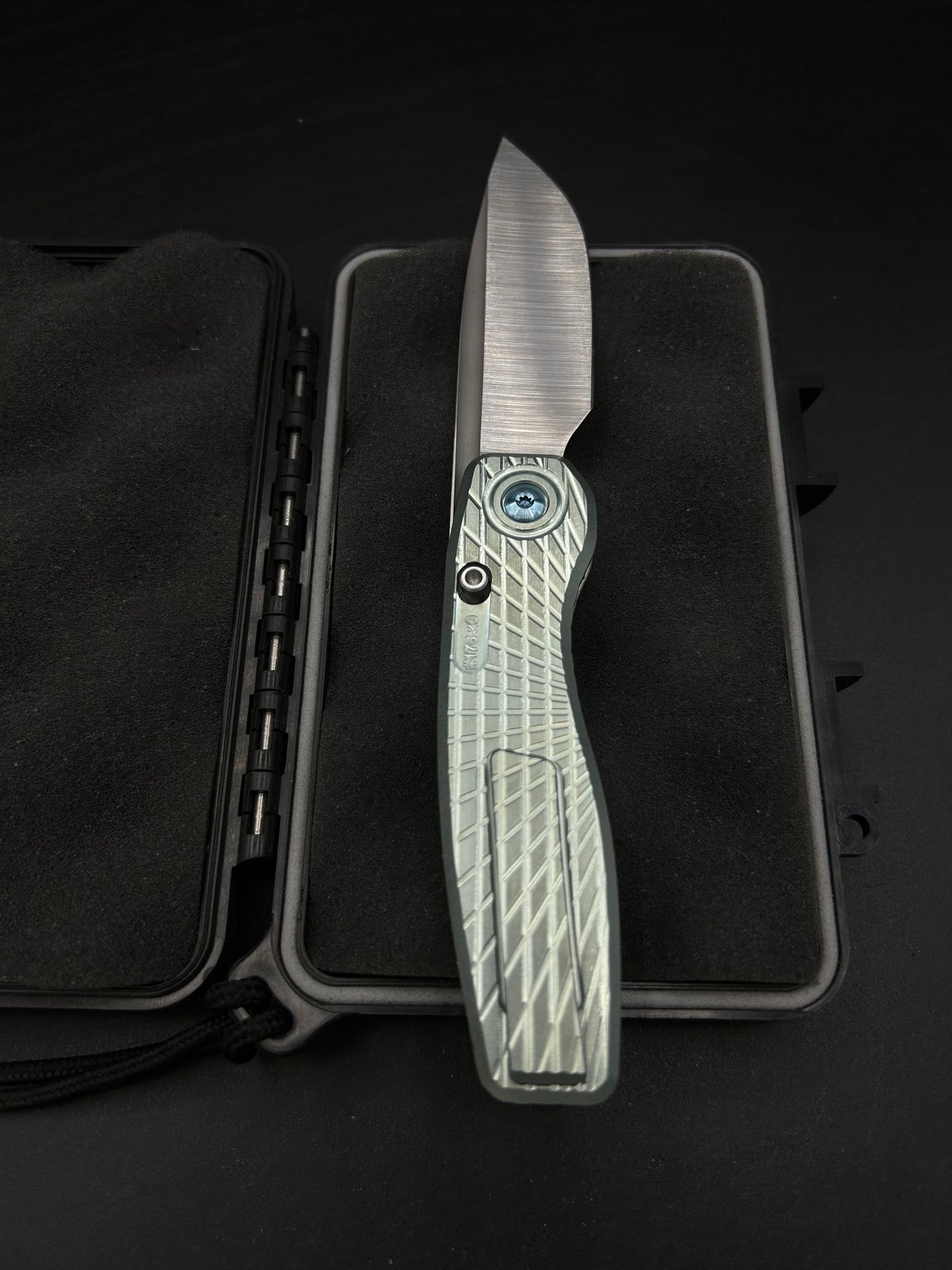 Mini FSD #176