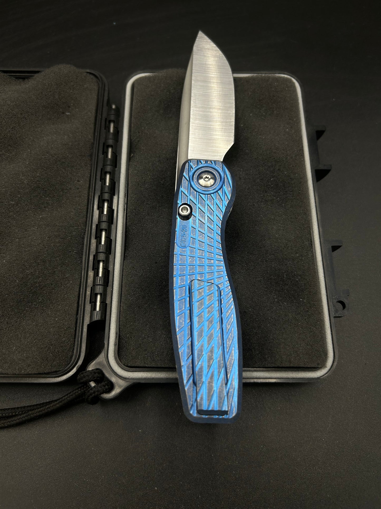Mini FSD #175