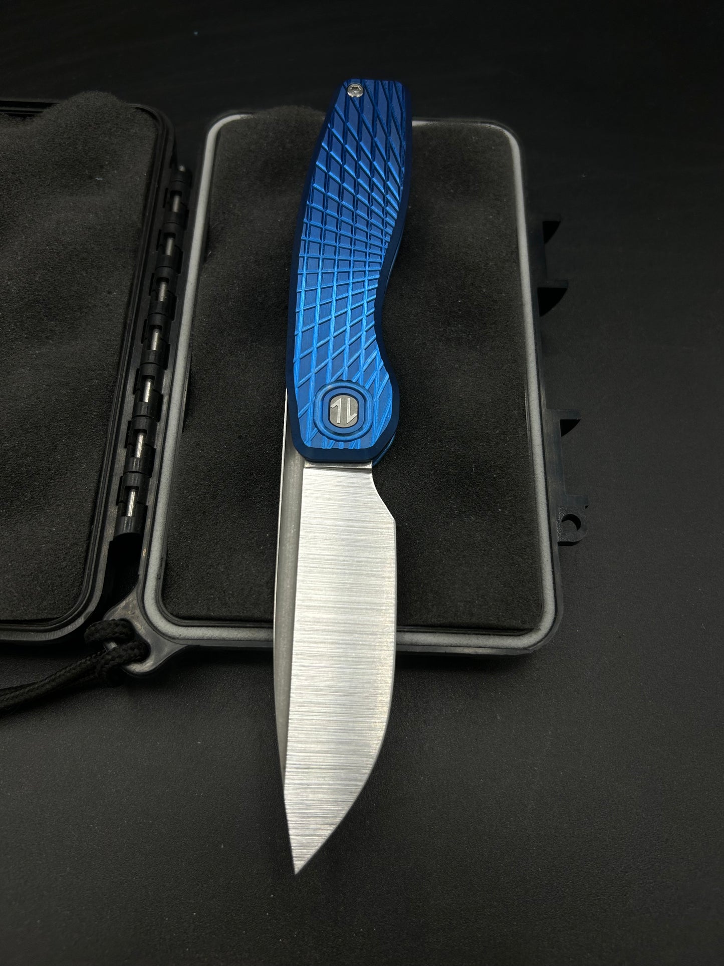 Mini FSD #171