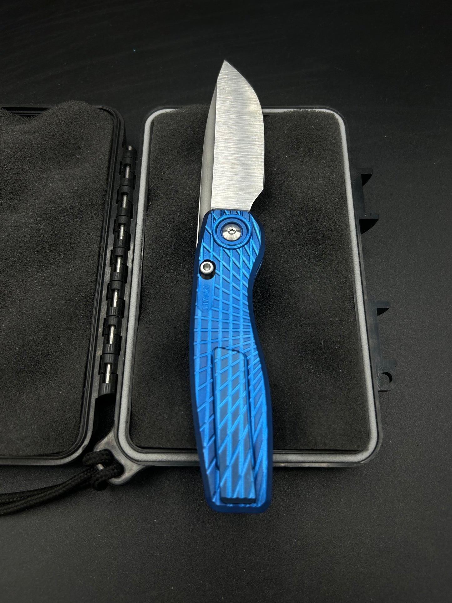 Mini FSD #171