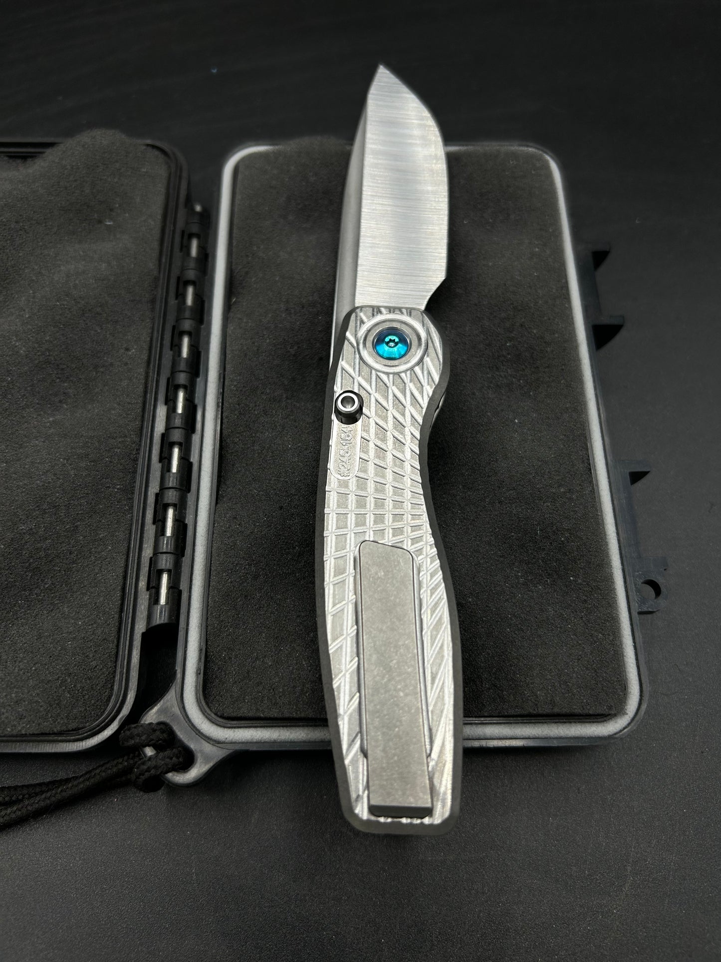 Mini FSD #245
