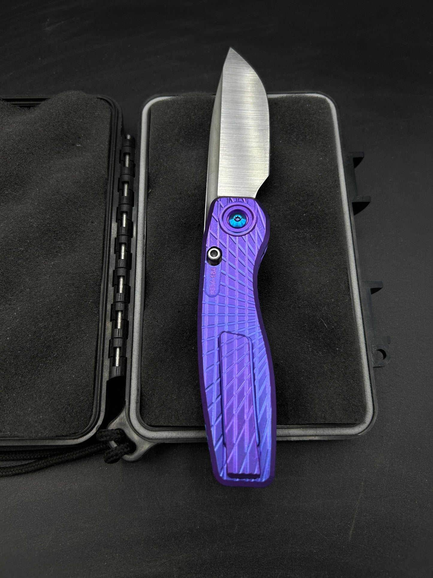 Mini FSD #384