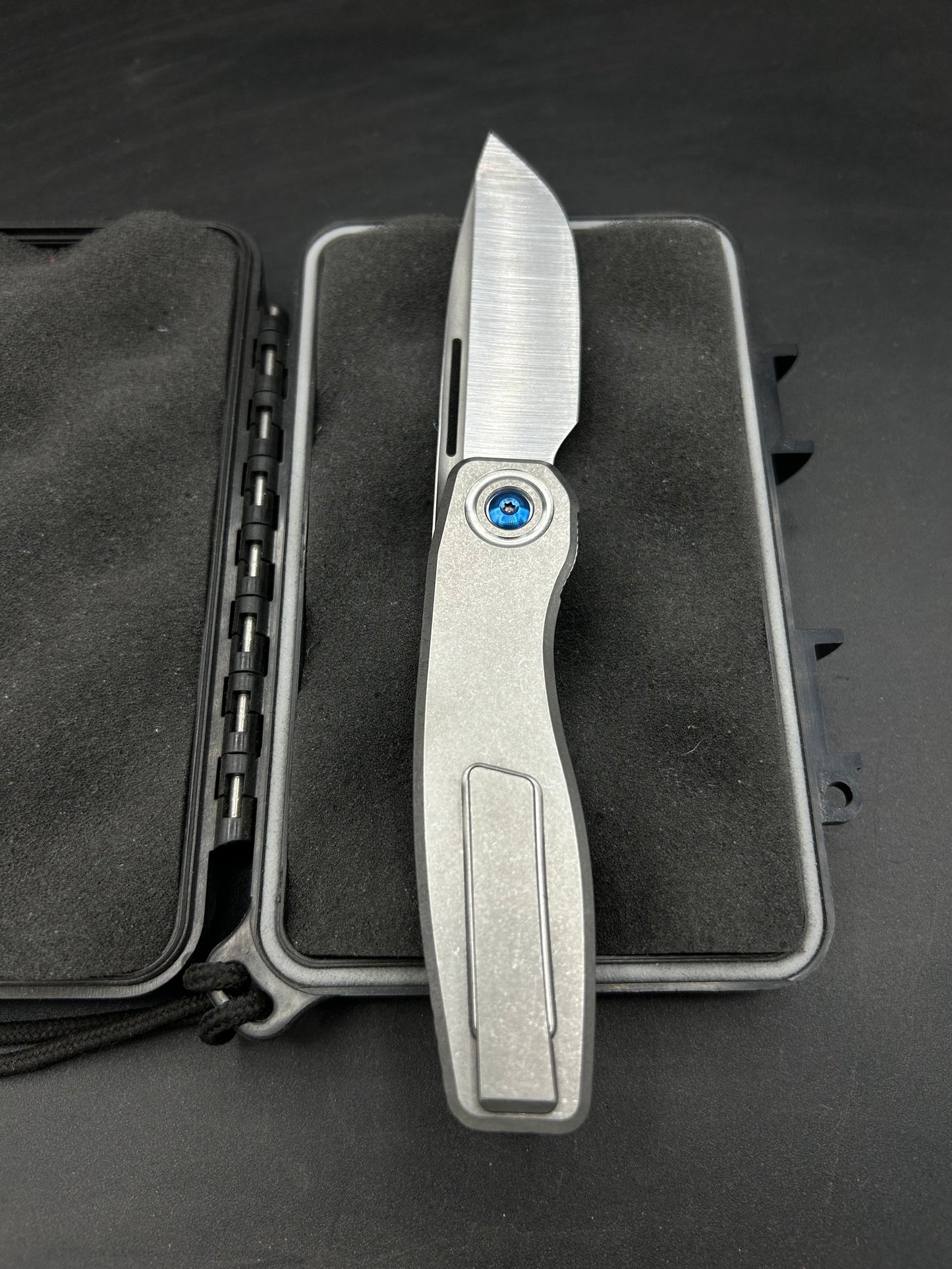 Mini FSD-I #115