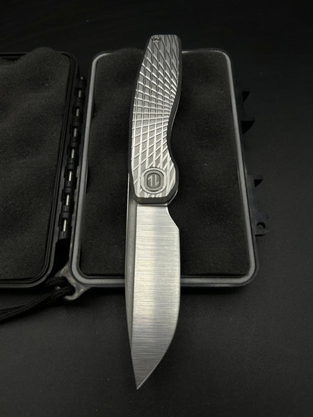 Mini FSD #293