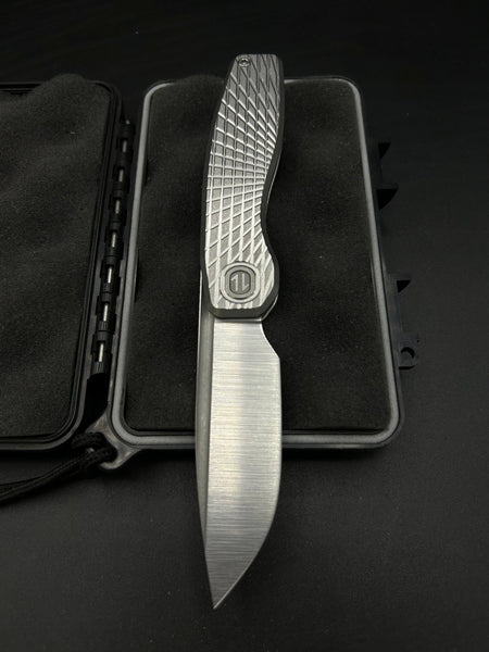 Mini FSD #289